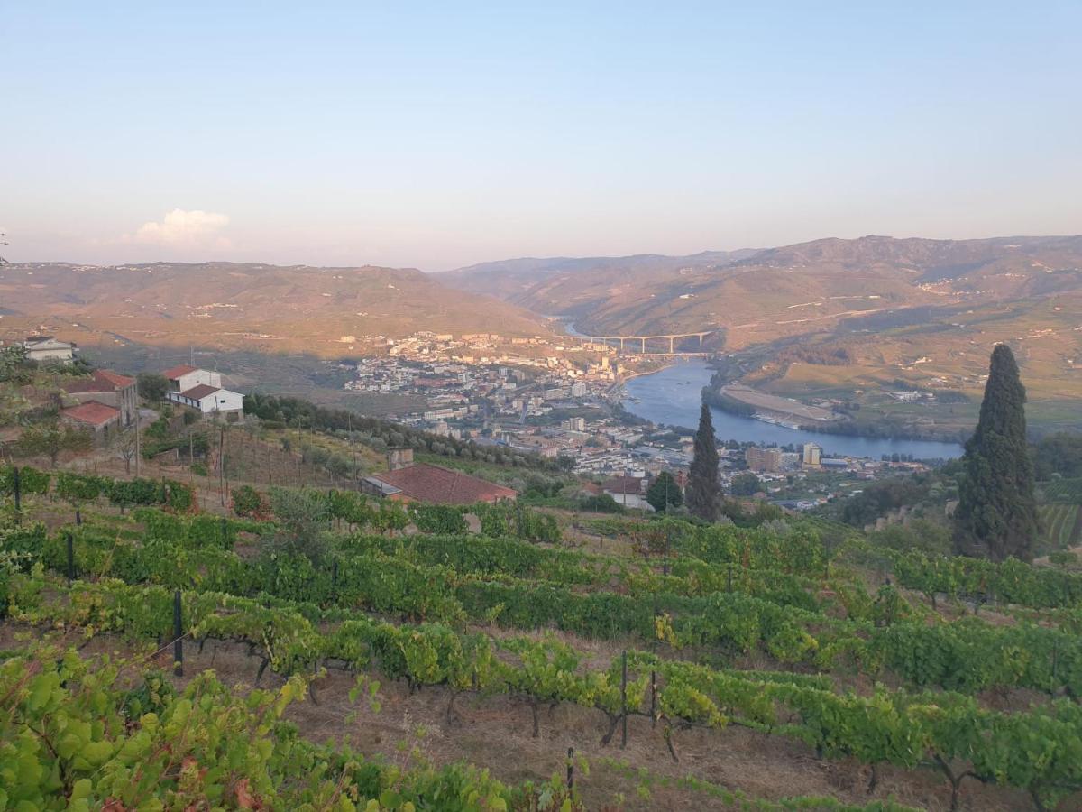 Quinta De Sobre A Fonte Charming Apartments Fontelas Dış mekan fotoğraf